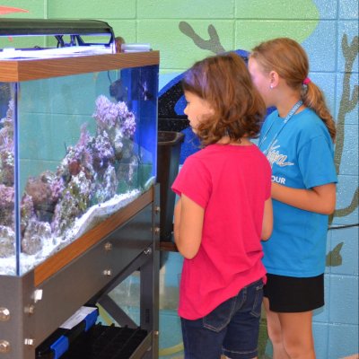 Two young girls observe a fish tank.