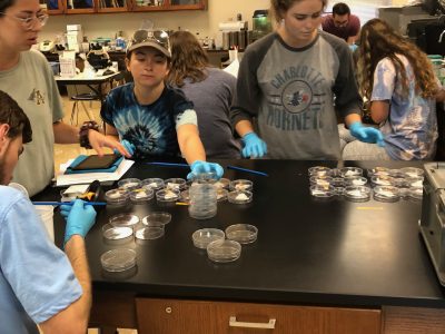 Group of six students collect data in biology class.