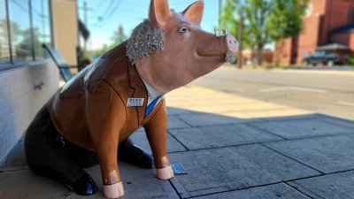 Pig Statue on sidewalk. Text reads: DCCC professor Einswine