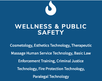 Wellness and Public Safety