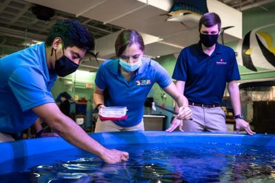 Two students feed fish in aquarium with instructor watching
