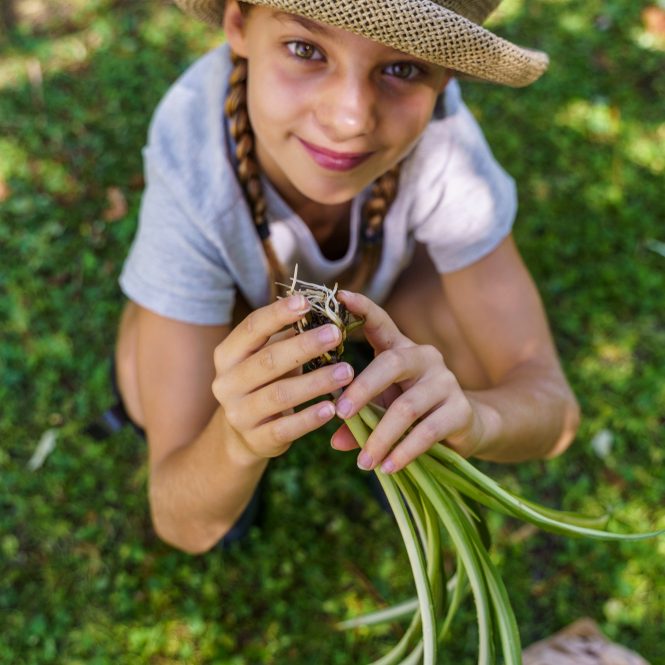 Young child holds plant showing roots