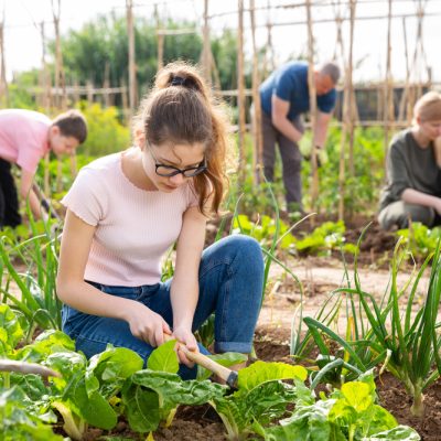 Young students work in outdoor gardening space