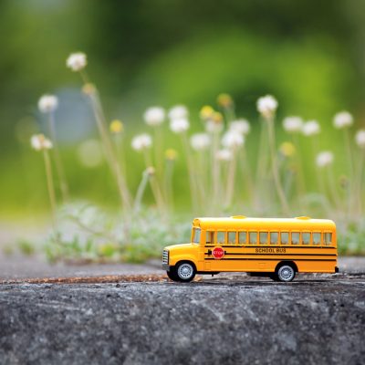 A toy yellow school bus on a concrete surface with blurred wildflowers in the background.